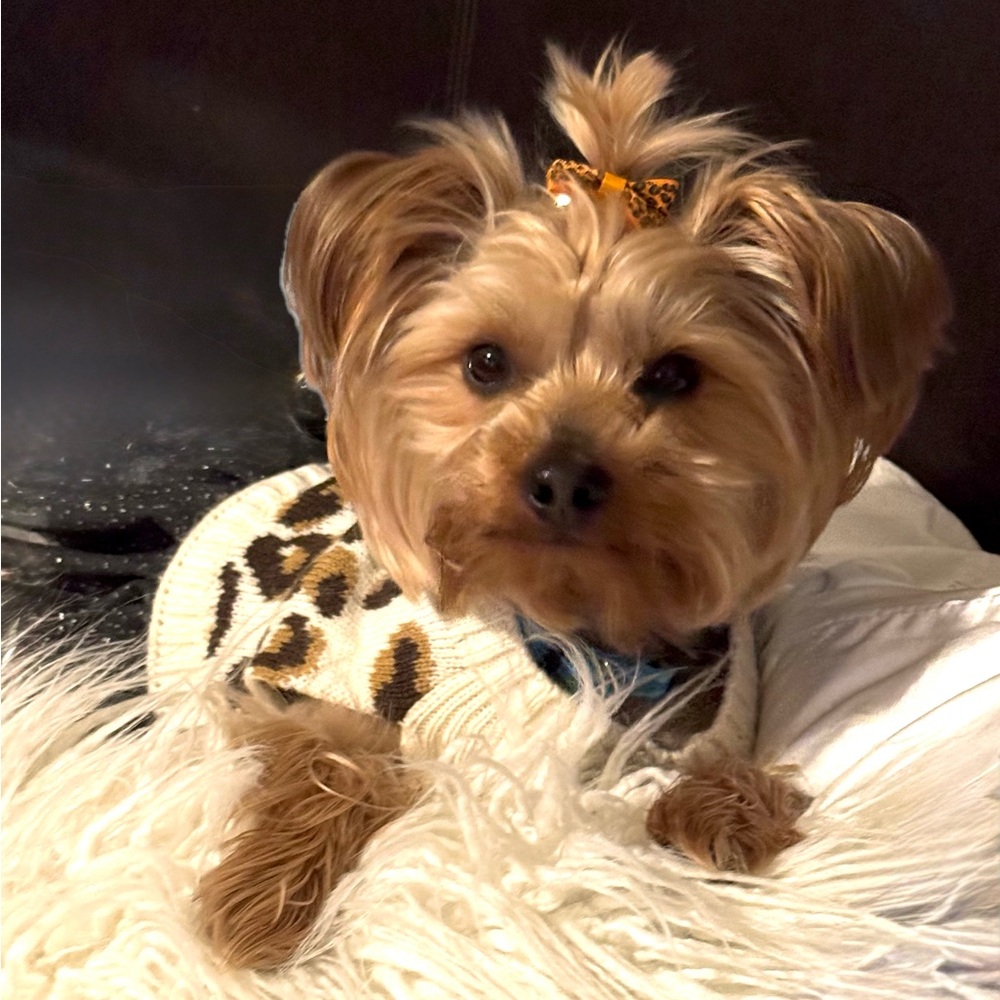 Meet your Posher, Catherine